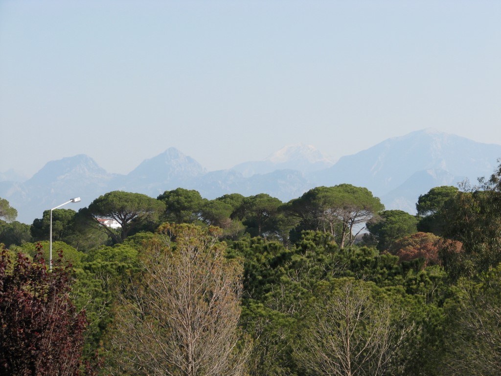 imagini hotel SPICE BELEK